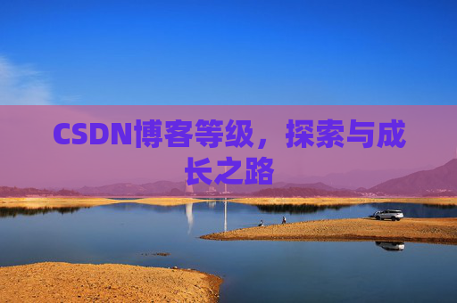 CSDN博客等级，探索与成长之路